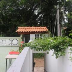 Отель Jungle Guest House Шри-Ланка, Галле - отзывы, цены и фото номеров - забронировать отель Jungle Guest House онлайн фото 3
