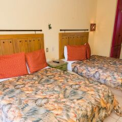Отель Siesta Suites Hotel Мексика, Кабо-Сан-Лукас - отзывы, цены и фото номеров - забронировать отель Siesta Suites Hotel онлайн комната для гостей фото 3