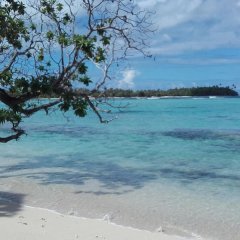 Отель B&B Nature Song Island Французская Полинезия, Хуахине - отзывы, цены и фото номеров - забронировать отель B&B Nature Song Island онлайн пляж фото 3