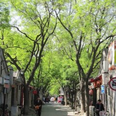 Отель Beijing Hutong Culture Inn Китай, Пекин - отзывы, цены и фото номеров - забронировать отель Beijing Hutong Culture Inn онлайн фото 3