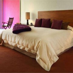 Отель Camino Real Polanco Мехико комната для гостей фото 3