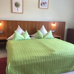 Hotel Mühleinsel комната для гостей фото 4