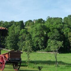 Hotel Rural Sucuevas - Adults Only Кангас-де-Онис фото 3