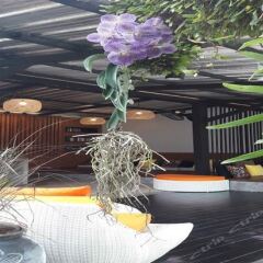 Отель The Fong Krabi Resort Таиланд, Краби - отзывы, цены и фото номеров - забронировать отель The Fong Krabi Resort онлайн фото 10