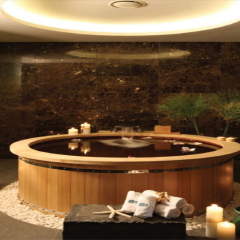 Отель Banyan Tree Club & Spa Seoul сауна