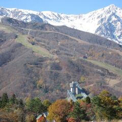 Отель Hakuba Megeve Хакуба фото 6