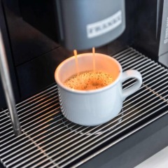 Отель Novotel Singapore on Stevens с домашними животными