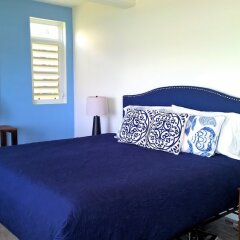 Cloud9 Dominica Boutique Hotel in Massacre, Dominica from 153$, photos, reviews - zenhotels.com guestroom photo 4
