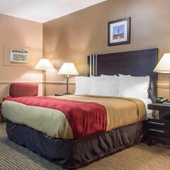 Отель Econo Lodge Downtown Ottawa Канада, Оттава - 2 отзыва об отеле, цены и фото номеров - забронировать отель Econo Lodge Downtown Ottawa онлайн с домашними животными