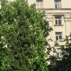 Апартаменты Apartments next to Opera София балкон
