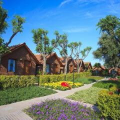Can Garden Beach Турция, Сиде - отзывы, цены и фото номеров - забронировать отель Can Garden Beach онлайн фото 4