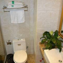 Отель GreenTree Inn International Convention Center ванная
