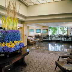 Отель Four Seasons Hotel Toronto Канада, Торонто - отзывы, цены и фото номеров - забронировать отель Four Seasons Hotel Toronto онлайн детские мероприятия
