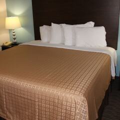 Отель Knights Inn Niagara Falls Near IAG Airport США, Ниагара-Фолс - отзывы, цены и фото номеров - забронировать отель Knights Inn Niagara Falls Near IAG Airport онлайн фото 2
