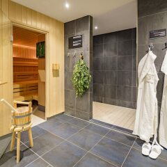 Отель Pullman Dresden Newa Германия, Дрезден - 2 отзыва об отеле, цены и фото номеров - забронировать отель Pullman Dresden Newa онлайн сауна