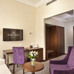 Hotel KING DAVID Prague комната для гостей фото 3