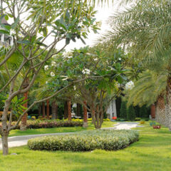 Jasmine Resort Hotel & Serviced Apartment фото 4