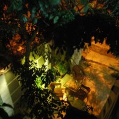 Отель Hoi An Merrily Homestay фото 3