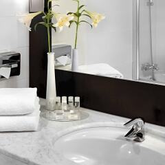 Отель Park Plaza Eindhoven ванная