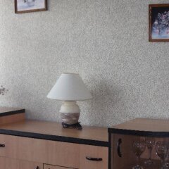 Hotel Msta удобства в номере
