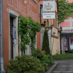 Отель Elbterrasse Wachwitz Германия, Дрезден - отзывы, цены и фото номеров - забронировать отель Elbterrasse Wachwitz онлайн фото 2