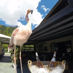 Chalet Hotel le Castel