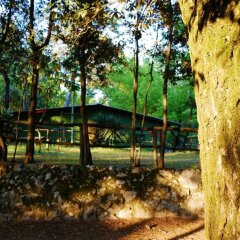 Отель Camping Al Bosco Италия, Градо - отзывы, цены и фото номеров - забронировать отель Camping Al Bosco онлайн фото 2