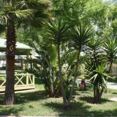 Отель Camping-Bungalows El Faro Испания, Кониль-де-ла-Фронтера - отзывы, цены и фото номеров - забронировать отель Camping-Bungalows El Faro онлайн фото 3