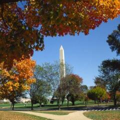 Отель Holiday Inn Rosslyn At Key Bridge фото 8