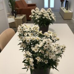 Отель Cosmo Apartments Marina Auditori Испания, Барселона - 1 отзыв об отеле, цены и фото номеров - забронировать отель Cosmo Apartments Marina Auditori онлайн помещение для мероприятий фото 2