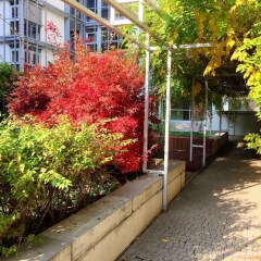 Отель P&O Apartments Arkadia 14 Польша, Варшава - отзывы, цены и фото номеров - забронировать отель P&O Apartments Arkadia 14 онлайн фото 20