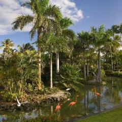 Отель The Level at Melia Caribe Tropical Доминикана, Пунта Кана - отзывы, цены и фото номеров - забронировать отель The Level at Melia Caribe Tropical онлайн приотельная территория