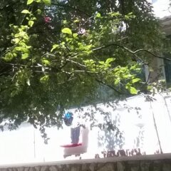 Апартаменты On Shchorsa Apartment Сочи фото 3