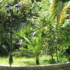 Отель B&B Il Giardino di Villa Anna Италия, Треказе - отзывы, цены и фото номеров - забронировать отель B&B Il Giardino di Villa Anna онлайн фото 9