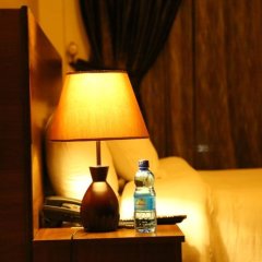 Bagy Hotel and Resort in Addis Ababa, Ethiopia from 207$, photos, reviews - zenhotels.com room amenities