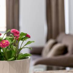 Отель Apartamento Travel Habitat Aragon комната для гостей фото 3