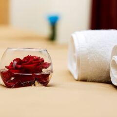 Амротс Отель с домашними животными