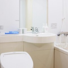 Daiwa Roynet Hotel Hachinohe Мисава ванная