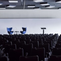 Radisson Blu Hotel Zurich Airport развлечения