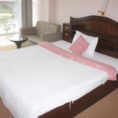 Отель Palagya Hotel Непал, Катманду - отзывы, цены и фото номеров - забронировать отель Palagya Hotel онлайн комната для гостей фото 3