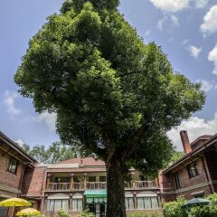 Отель Gokarna Forest Resort Непал, Катманду - отзывы, цены и фото номеров - забронировать отель Gokarna Forest Resort онлайн фото 9