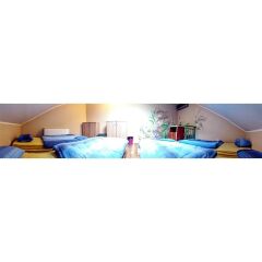Хостел Varad INN Hostel and Cafe Нови Сад бассейн