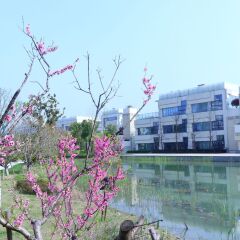 Отель Golden Tulip Suzhou Residence фото 3