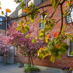 Hotel Bern by TallinnHotels фото 5