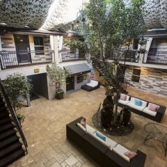Отель L.A. Sky Boutique Hotel США, Лос-Анджелес - отзывы, цены и фото номеров - забронировать отель L.A. Sky Boutique Hotel онлайн фото 8