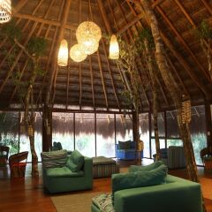 Ecovergel Riviera Maya Hotel Boutique интерьер отеля фото 2