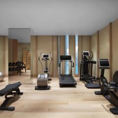 Гостиница So Sofitel Санкт-Петербург фитнесс-зал