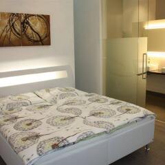 Отель Luxury Downtown Apartment Vienna - Baeckerstrasse Австрия, Вена - отзывы, цены и фото номеров - забронировать отель Luxury Downtown Apartment Vienna - Baeckerstrasse онлайн комната для гостей фото 4
