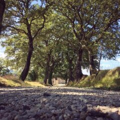 Отель Agriturismo I Poderi Кьянчиано Терме приотельная территория фото 2
