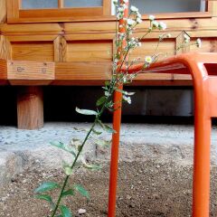 Отель Kibi House фото 5
